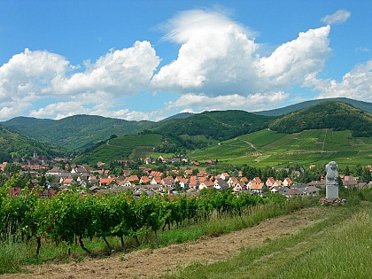 Traversée du Massif des Vosges - Etape 11 - Barr - Châtenois
