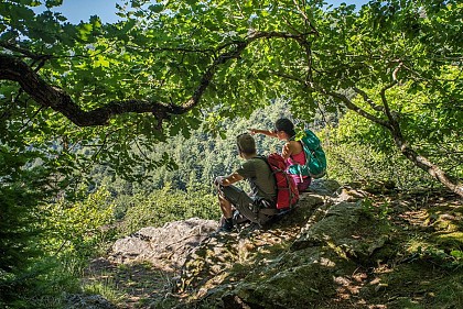 Circuit de randonnée 2 jours : Osenbach - tour du Petit Ballon