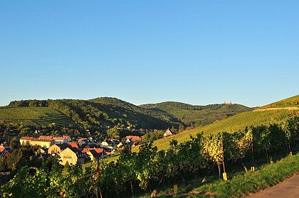 Le point de vue du Zimmerberg