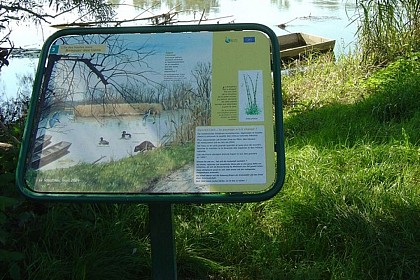 High waters island footpath