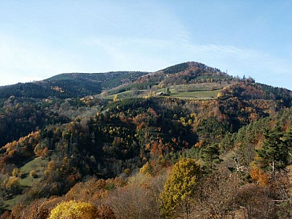 Circuit VTT n°14