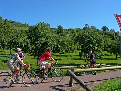 Old railway Molsheim - Romanwiller
