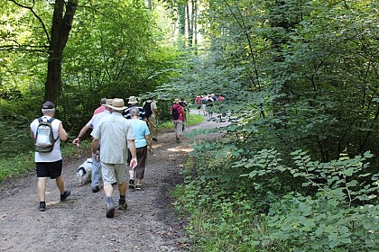 Sentier pédestre : Les Berges du Rhin