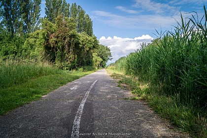Getaway to Colmar - Neuf-Brisach to Colmar