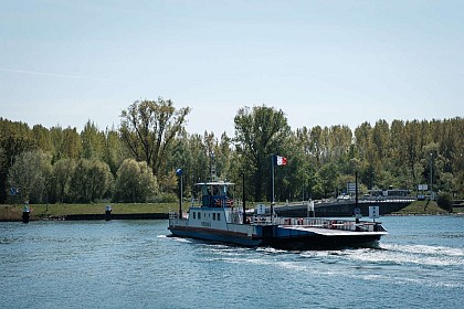 Parcours Vélo sans Frontière-  Du Taubergiessen au Kaiserstuhl (départ à Rhinau)