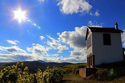 A travers le vignoble du kirchberg