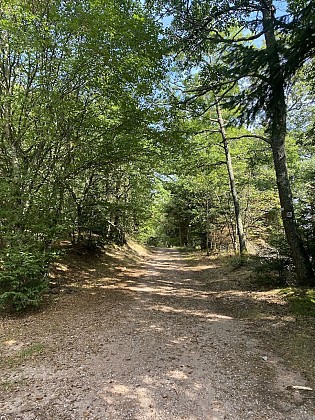 Circuit VTT 10 - Les Trois Epis