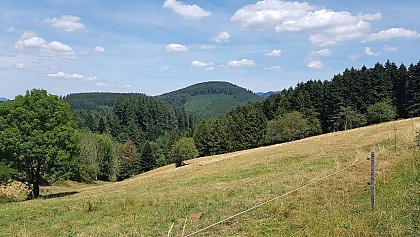 Circuit poussettes 4x4 H02 : La clairière du Hang