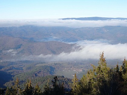 Parcours vélo : Le massif du Taennchel au départ de Ribeauvillé