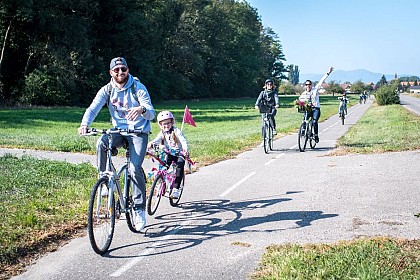 BL 152 - Du chou à l'assiette