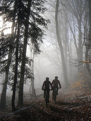 Circuit de VTT: Circuit du Dreibannstein