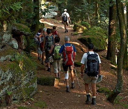 Hiking tour - Between History and Legends