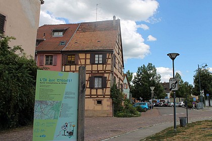 Hiking tour - l'Ill aux trésors