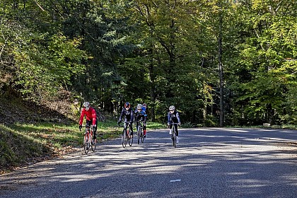 Bike tour - Between vineyards and mountains