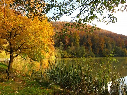 Lucelle: Les Vieilles Fermes