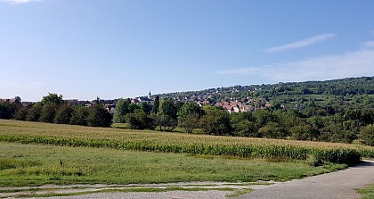 Circuit rando - Autour du Bischenberg