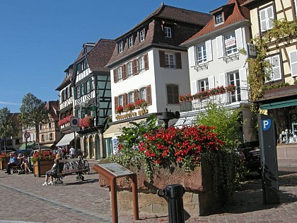 Discovery Visit of the old Town