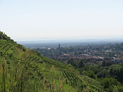 Day 3 of 3: Return to the Guebwiller valley