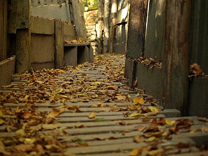 Circuit du Km 0 - Pfetterhouse-Moos-Bonfol