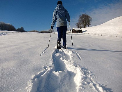 GLASERBERG SNOWSHOE CIRCUIT