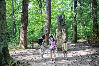 Stroller tour : The menhir walk