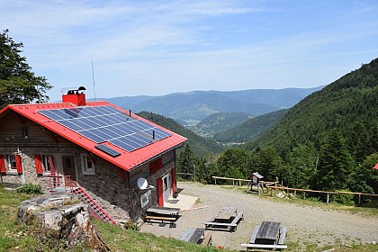 ECOBALADE - Découverte du Gazon Vert