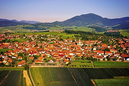 Sentier viticole d'Epfig - Le Fronholz
