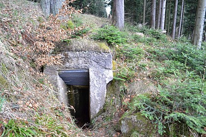 Hiking trail D04: Fortified positions south of Le Donon