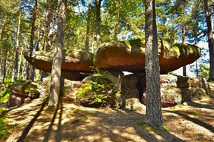 Circuit rando - des pierres tremblantes aux sources d'Orbey