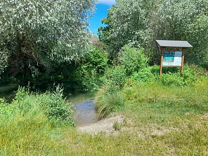 In canoë on the Brunnwasser river from Rhinau to Gerstheim