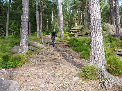 Mountain bike trail - Frankenbourg et roches