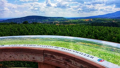 Hiking tour - The Westerberg