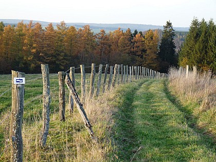 Escapardenne Eislek Trail - Etape 4 - Houffalize - Nadrin