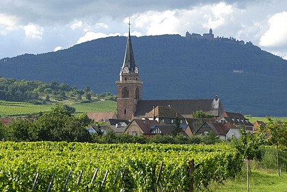 BL241 - Châteaux et grands crus