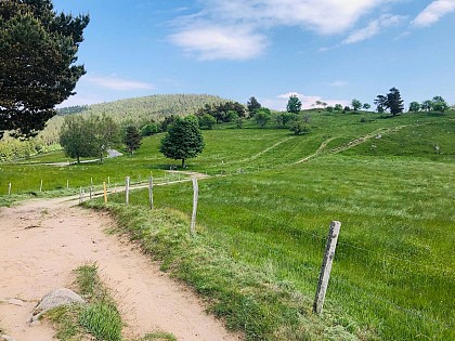 Circuit rando - des pierres tremblantes en passant par le linge