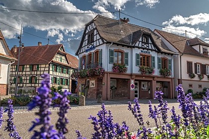 Discovery tour of Morsbronn-les-Bains