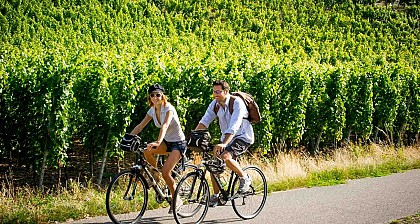 Vignoble et vallon d'Alsace à vélo