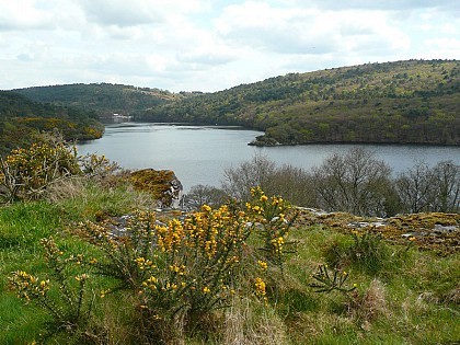 Le Tour du Lac de Guerlédan
