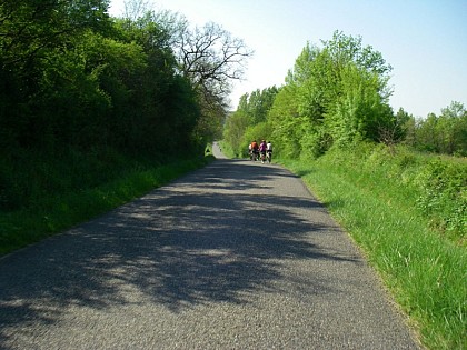 CIRCUIT VELO MASSEUBE - LAC DE L'ASTARAC