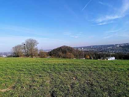 Balade détente 24 mars 2024 au départ du Fort de Flémalle