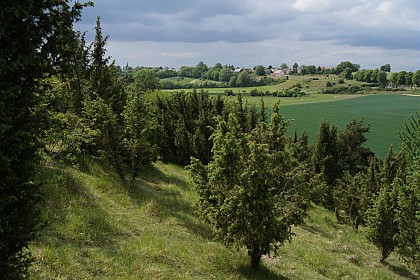La Montagne des Grès à Grattepanche