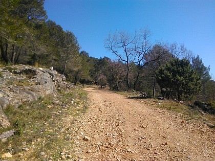 Saint Cézaire, de la chèvrerie du Bois d'Amont jusqu'au col de Cabris, avec retour par la piste du Défens