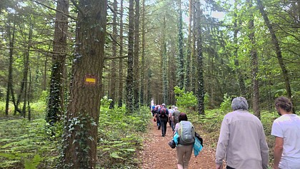 Bois et Cours d'eau, Elven