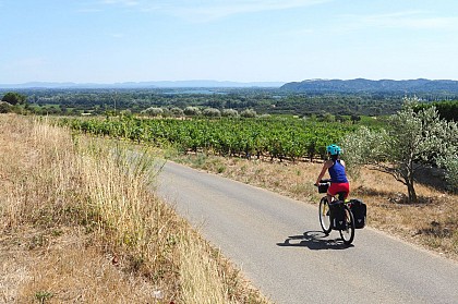 EV17 - ViaRhôna stage 18 - Caderousse > Avignon