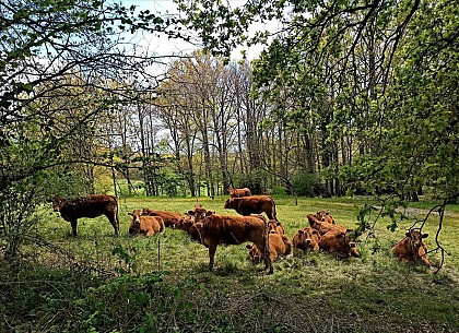 La petite boucle d'Arcanhac - La Fouillade