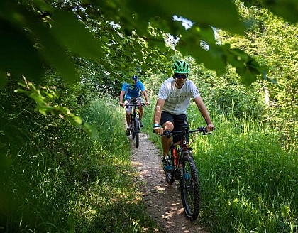 Mountain bike itinerary: Sambuy Express n°6 - Red