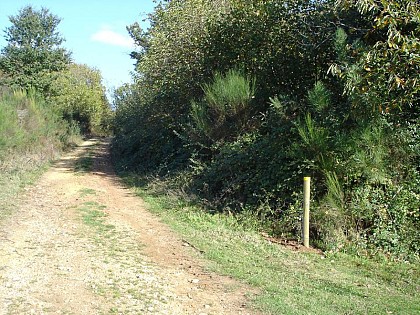 Autour de la Fraise à Cendrieux