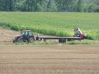 The Longues Haies Walk (Le Roeulx)