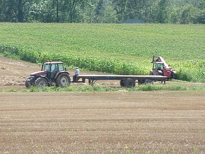 Balade des Longues Haies (Le Roeulx)