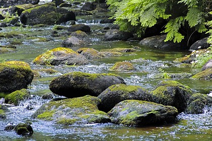 Circuit des Collines - Duault